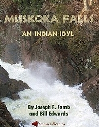 Muskoka Falls - An Indian Idyl