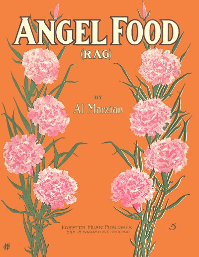 angel food rag cover