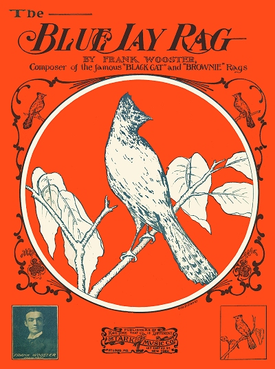 blue jay rag cover