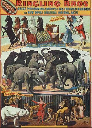 bailey and ringling circus poster